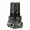 Dwyer Instruments Panel Mounting Nut For MPR Pressure Regulator MPR-N